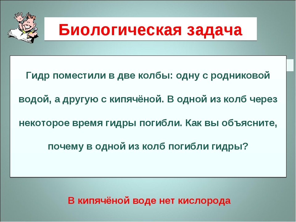 Kraken ссылка на сайт тор